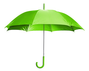 Bright Green Umbrella - 11769705