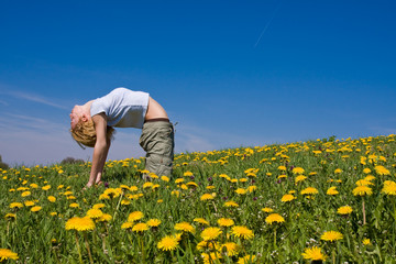 Fototapeta premium young female excercising yoga on flowery meadow