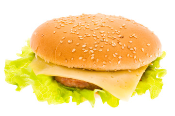 cheeseburger isolated