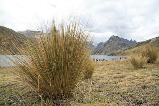 Andenlandschaft