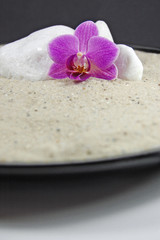 Obraz na płótnie Canvas Spa kamienie z orchidea na piaszczystych