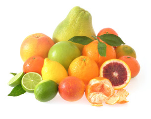 Arrangement mit Zitrusfrüchten/display of citrus fruits
