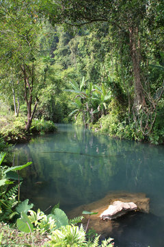 Laos Dschungel