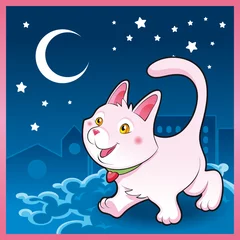 Photo sur Plexiglas Chats Bébé chatte chat dans la nuit