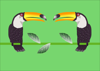 Obraz na płótnie Canvas toucans