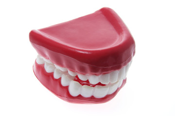 Obraz premium Artificial Dentures