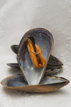 Piercing en mejillon