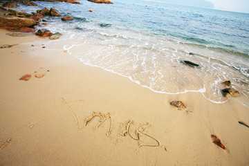 xmas on beach with wave