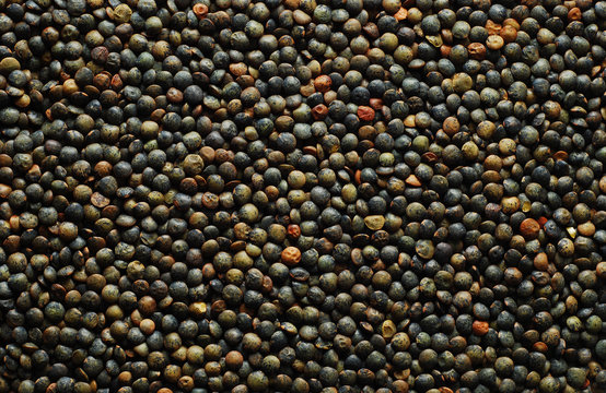 black lentil background