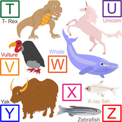Animal alphabet, part 4 of 4