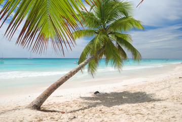 Obraz na płótnie Canvas Caribbean beach