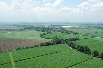 Foto aerea de cultivo de caña de azúcar 3