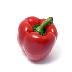 Pepper isolated on white.