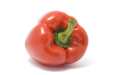 Pepper isolated on white.