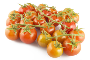 Pomodori a Grappolo 1