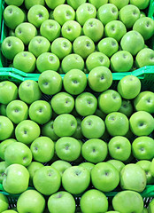 apple at a farmer's market