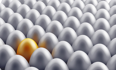 silver and gold eggs