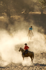 cowboy in the desert