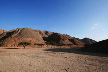 Wadi in the desert