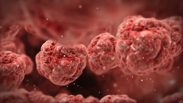 Inside human body,red blood cells,highly detailed texture