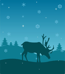 Winter deer