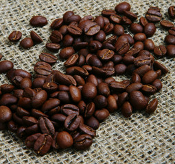 coffee beans macro closeup