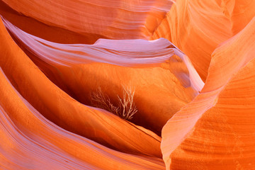 Lower Antelope Slot Canyon in Orange Closeup