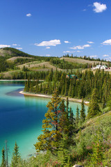 Emerald Lake Yukon Territory, Canada (vertical)