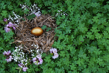 Golden nest egg in the clover