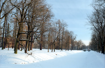 Aqueduct with trees in winter
