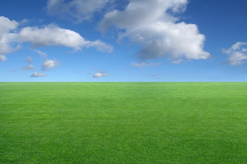 landscape - green grass on blue sky background