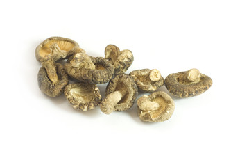 isolated dried mushroom