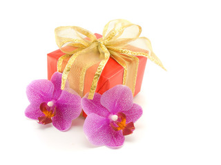 gift box and orchid isolated on white background