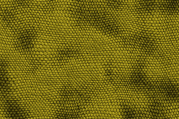 reptile skin backgound