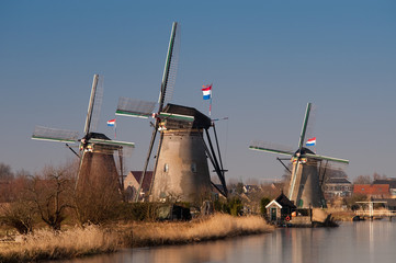 Naklejka premium beautiful windmill landscape at kinderdijk