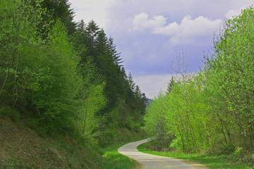 A road to a fantasy landscape