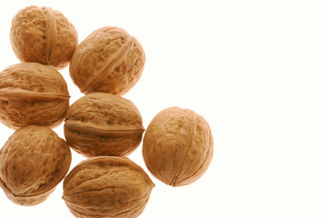Walnut