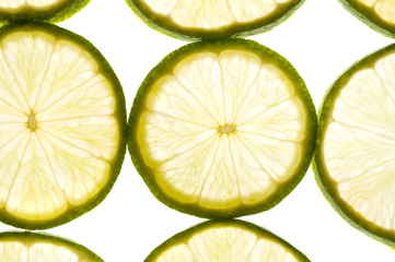 Segments fresh orange/