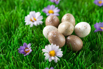 Small easter eggs in a meadow