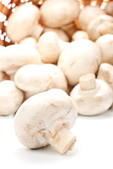 Fresh mushrooms in a basket