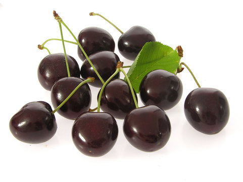 Schwarze Kirschen/black cherries