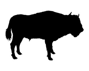 Bison dargestellt in Form einer schwarzen Silhouette