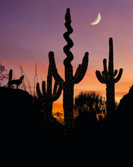 Silhouette of a coyote howling at a decorated saguaro cactus