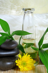 Obraz premium Nature power