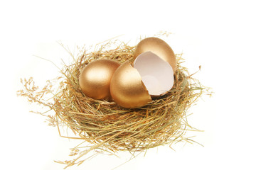 Whole and broken gold eggs