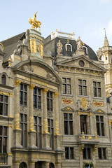Fototapeta na wymiar Maison des brasseurs, Bruxelles, Belgique