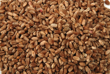 wheat seeds background