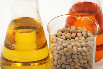Ethanol produce by soy seeds