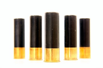 shot gun shells