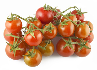 Pomodori a Grappolo 21